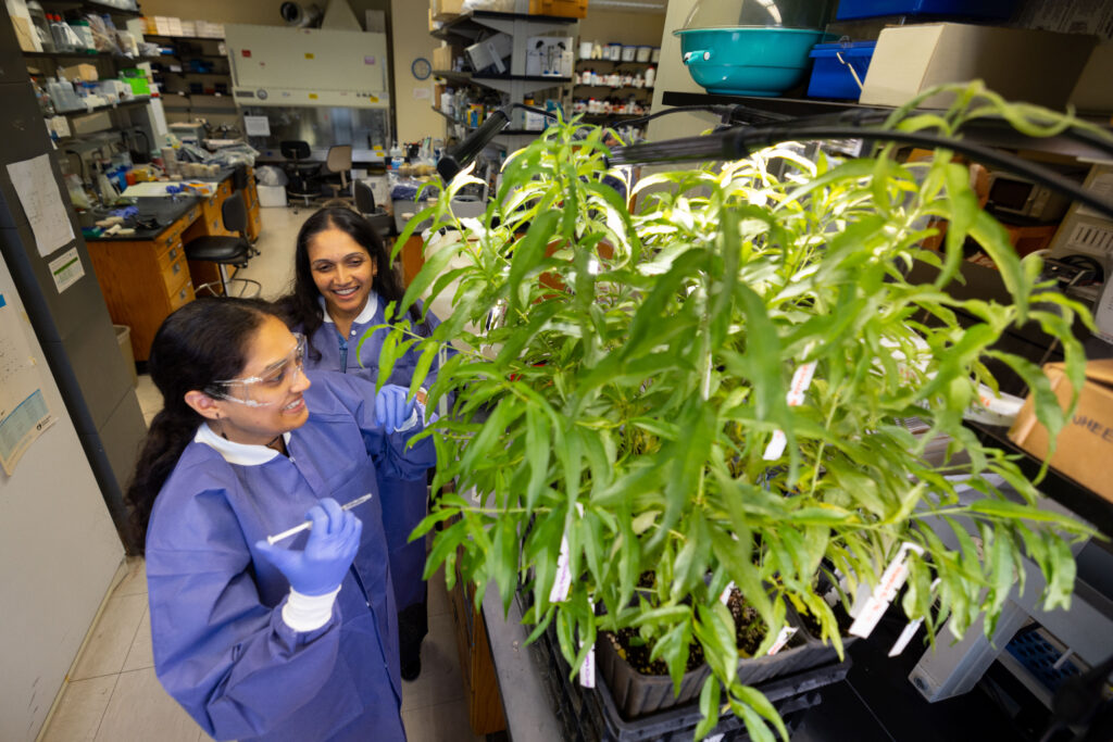 Plant Biology at Rutgers University: Experiential, exciting, employable Plant Biology at Rutgers University: Experiential, exciting, employable