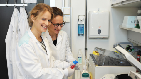 Pharmaceutical sciences with global impact