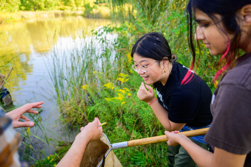 3 US universities at the forefront of global innovation