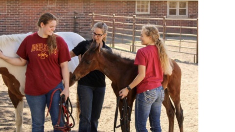 Iowa State University: Career-ready animal science graduates Iowa State University: Career-ready animal science graduates