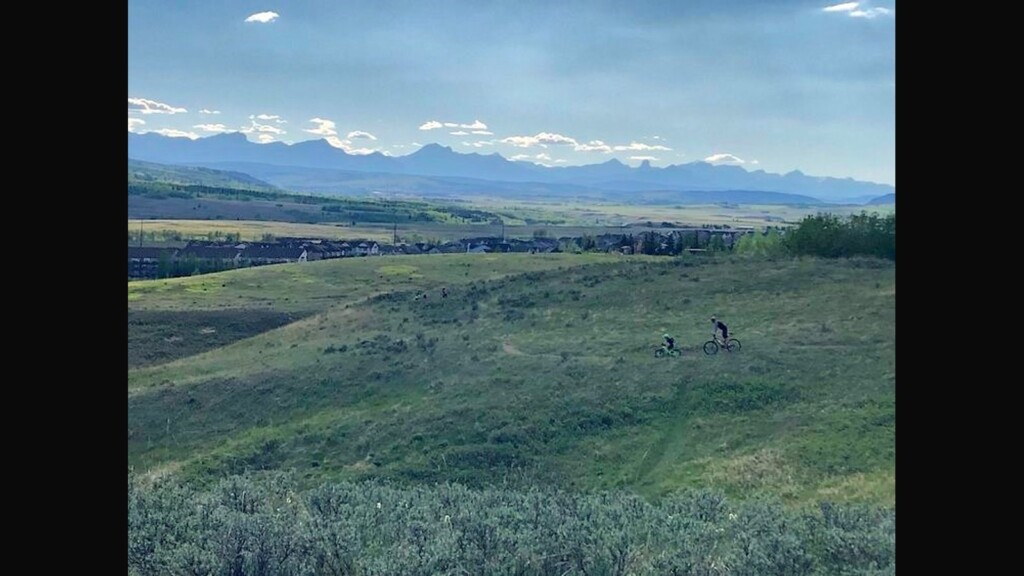 Cochrane council introduces new environmental task force