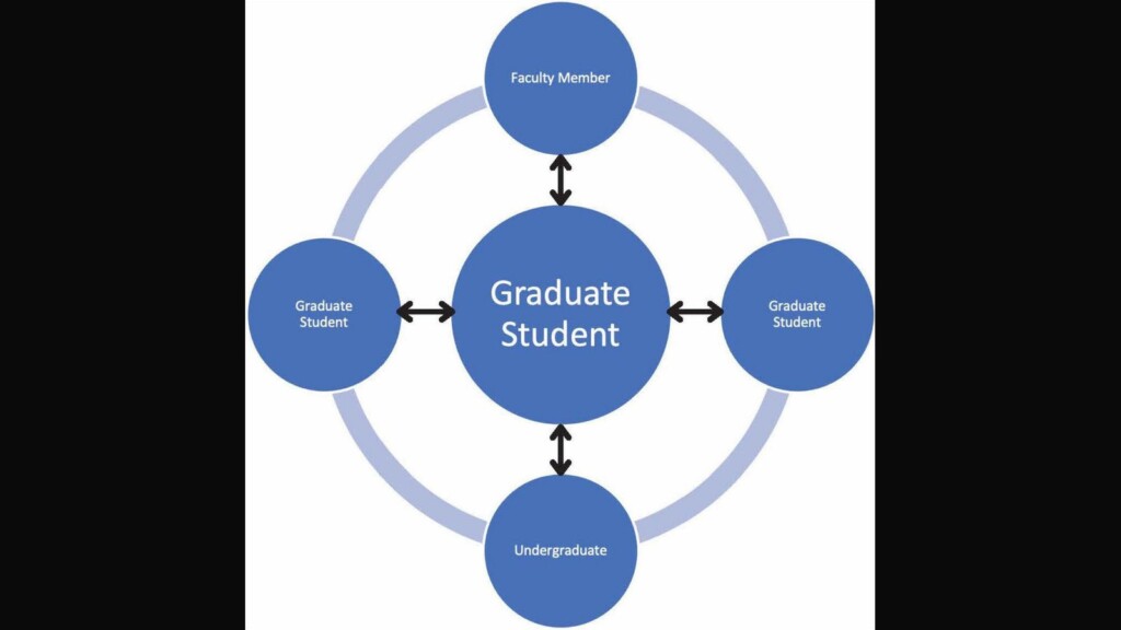 Supporting Historically Underrepresented Groups in STEM Higher Education: The Promise of Structured Mentoring Networks Supporting Historically Underrepresented Groups in STEM Higher Education: The Promise of Structured Mentoring Networks