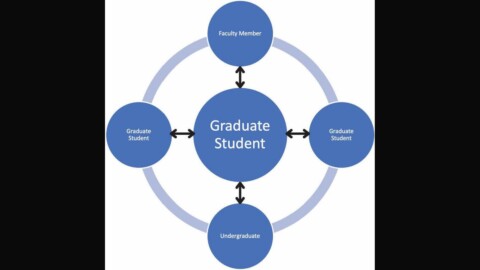 Supporting Historically Underrepresented Groups in STEM Higher Education: The Promise of Structured Mentoring Networks