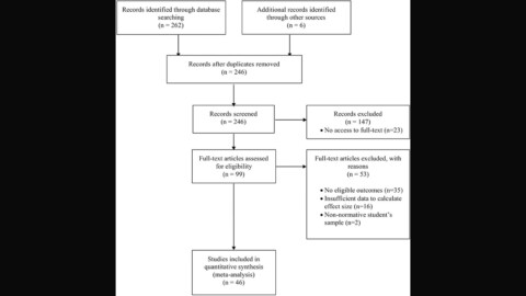 Implicit Theories of Intelligence and Academic Achievement: A Meta-Analytic Review
