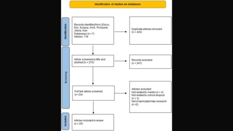 Mentoring as prevention of early school leaving: a qualitative systematic literature review
