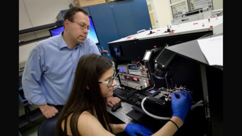 3 universities shaping future ECE leaders